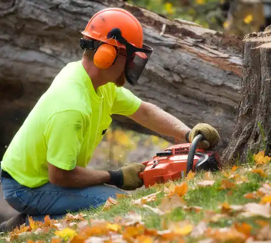 tree services Whitinsville